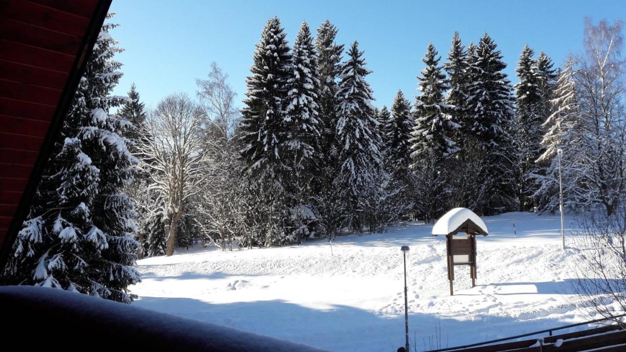 Apartman Bile Labe Špindlerŭv Mlýn Exteriör bild